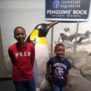 Meet your Posher, William